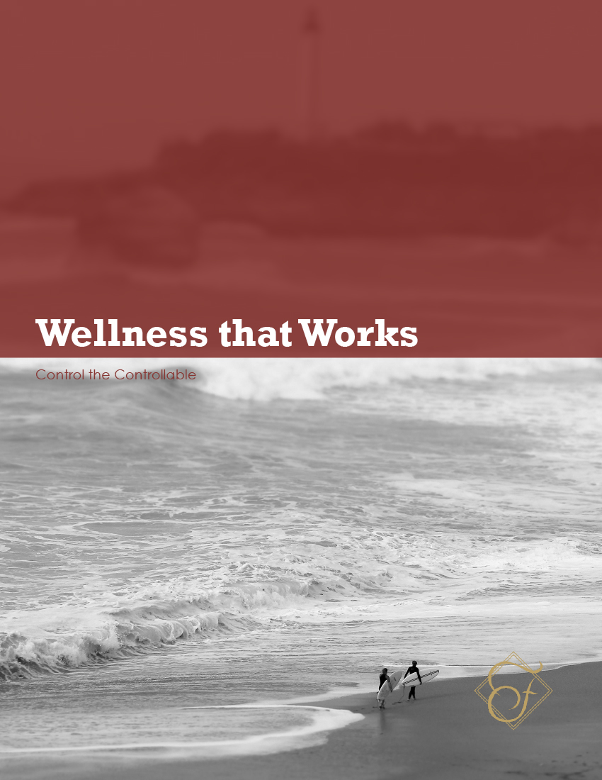 Wellness that Works_2016_FINAL_cover.jpg